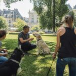 Atelier d'éducation canine à Rennes : apprenez à mieux comprendre votre chien