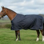 Comment choisir le grammage idéal pour la couverture de votre cheval ?