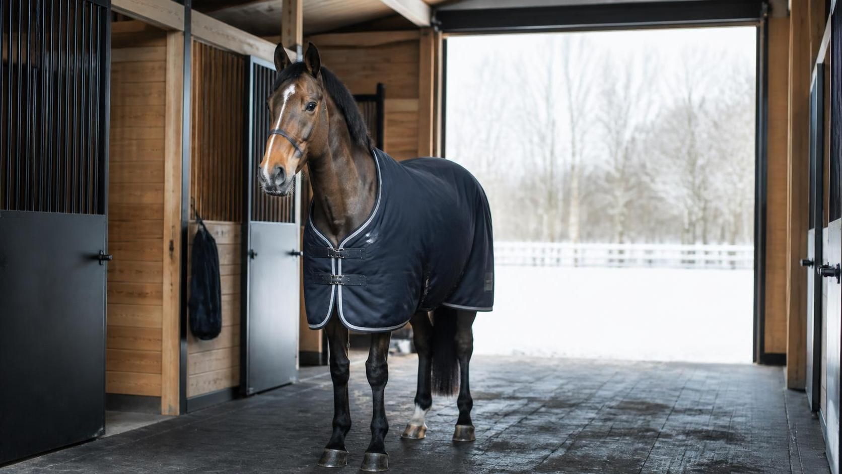 découvrez comment choisir le grammage parfait pour la couverture de votre cheval afin d'assurer son confort et sa protection quelles que soient les conditions météorologiques.