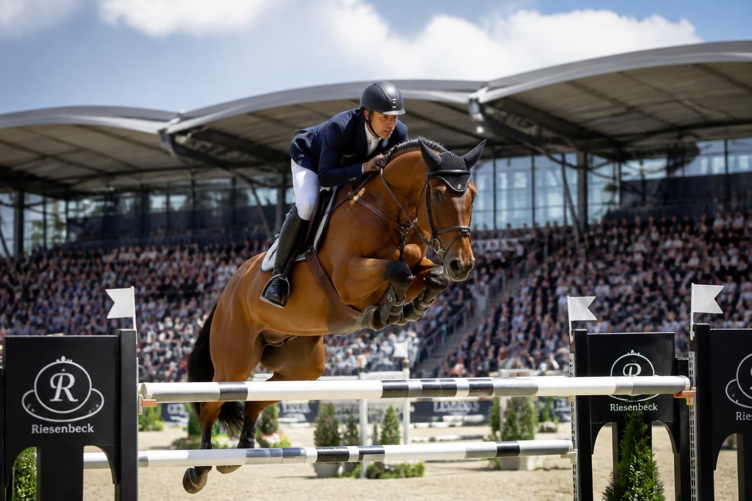 explorez les classements mondiaux du concours de saut d'obstacles (cso) pour 2025 et découvrez les cavaliers et chevaux leaders qui dominent la scène équestre cette année.