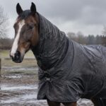Couvre-cou pour cheval : protéger son encolure du froid et des intempéries